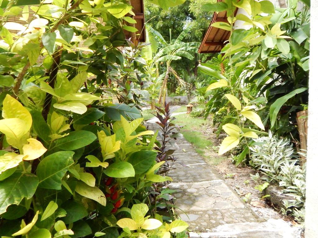 Hotel Toke Menjangan Banyuwedang Exterior foto