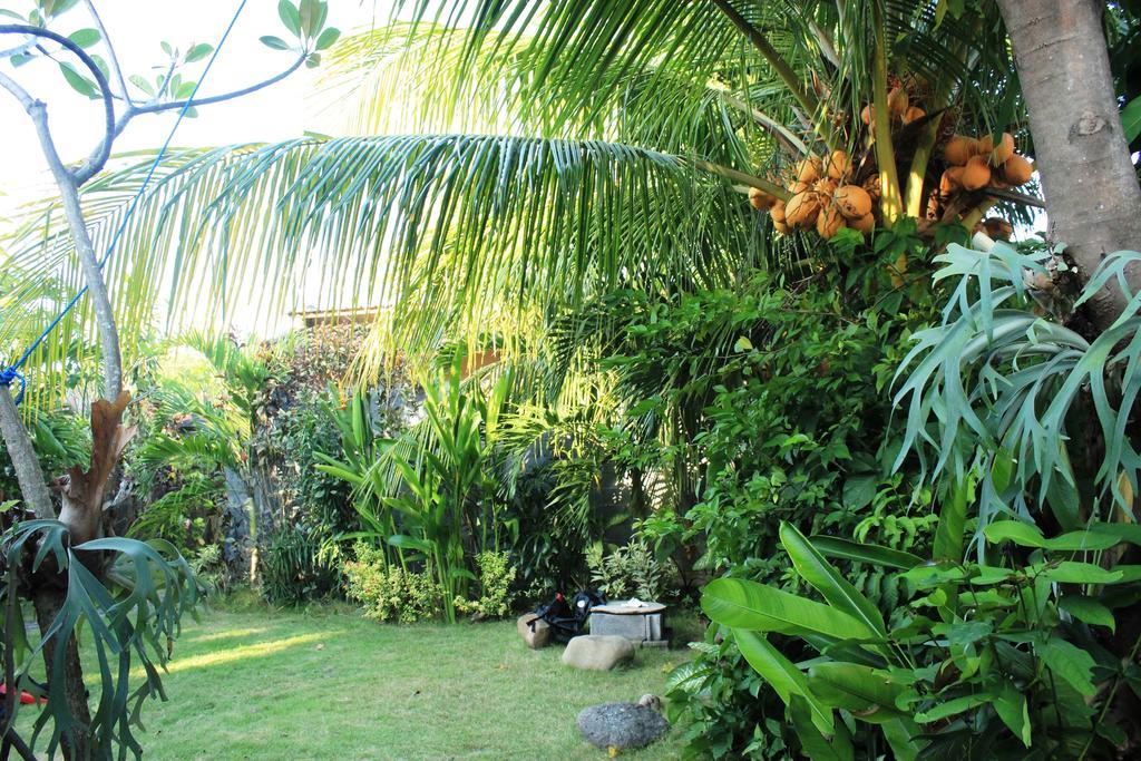 Hotel Toke Menjangan Banyuwedang Exterior foto