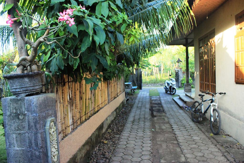 Hotel Toke Menjangan Banyuwedang Exterior foto